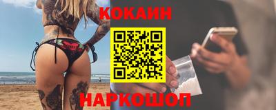 крисы Моздок