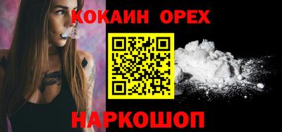 крисы Моздок