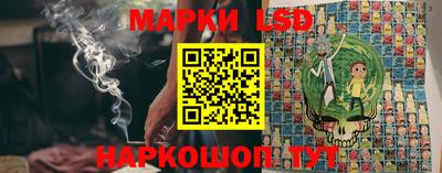 крисы Моздок