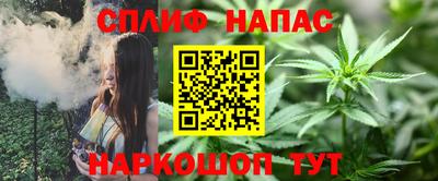 крисы Моздок