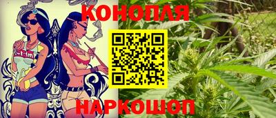 крисы Моздок