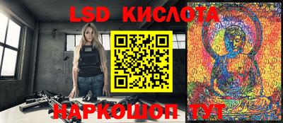 крисы Моздок