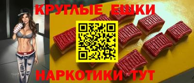 крисы Моздок