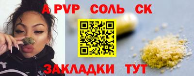 крисы Моздок