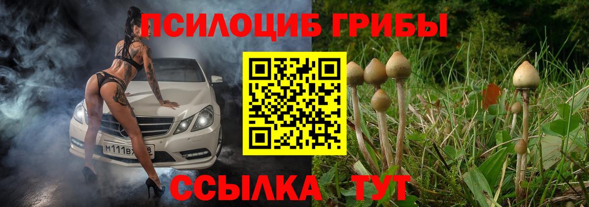 Псилоцибиновые грибы Psilocybe Барнаул