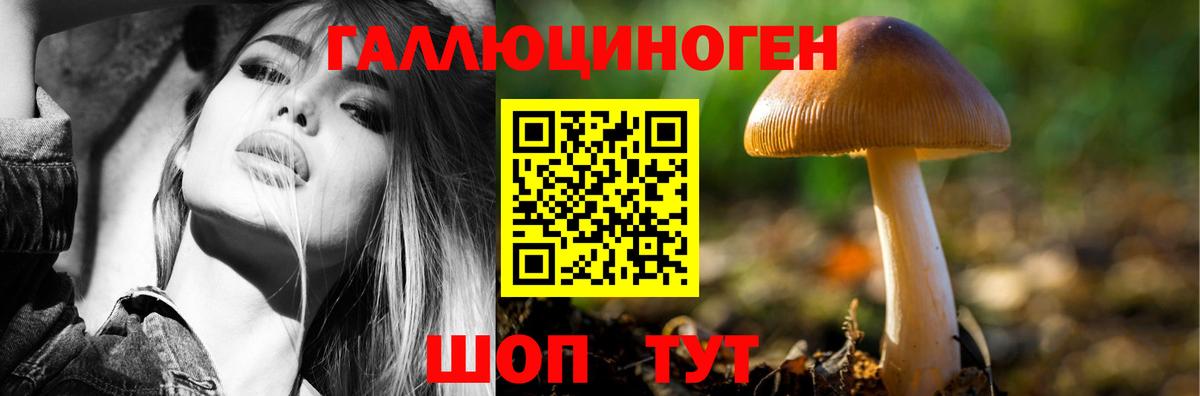 Галлюциногенные грибы MAGIC MUSHROOMS  Вход с VPN  Барнаул  Галлюциногенные грибы Psilocybe 